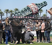 Twins Giants Baseball