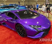 CANADA-TORONTO-CAR SHOW-IMPORTFEST