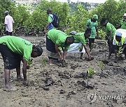 Kenya Bees and Mangroves