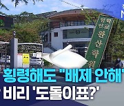 공금 횡령해도 "배제 안해".. 사학 비리 '도돌이표?'