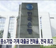 전북 중소기업·가계 대출금 연체율, 전국에서 가장 높아