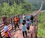 울산 동구 '대왕암 출렁다리' 개통 3년만에 367만명 찾아