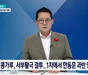 박지원 "尹·한동훈, 서로 X파일 있어…악어와 악어새"