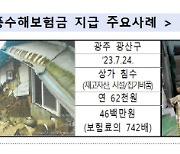 올해 장마 피해 불안하다면…행안부 "풍수해·지진재해보험 챙기세요"