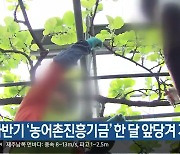 제주도, 하반기 ‘농어촌진흥기금’ 한 달 앞당겨 지원