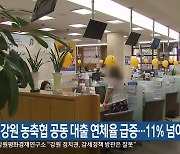 “강원 농축협 공동 대출 연체율 급증…11% 넘어”