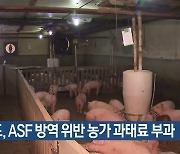 경북도, ASF 방역 위반 농가 과태료 부과