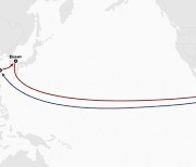 HMM, 동아시아~멕시코 연결하는 컨테이너 서비스 신규 개설