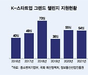 "비자발급 늦어서"…외국인 창업지원 사업 선정돼도 중도포기