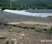 환경차관 "장맛비로 하천수위 올라…후속 강우 철저히 대비"