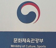 문체부 "축구협회 운영·감독 선임 과정 살펴보고 조처"