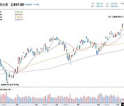 금투세와 밸류업 [더 나은 경제, SDGs]