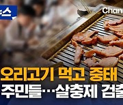 [자막뉴스]초복 오리고기 먹고 중태 빠진 주민들…‘살충제 검출’