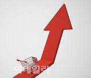 고환율에 6월 수입물가 0.7%↑, 한 달 만에 재상승