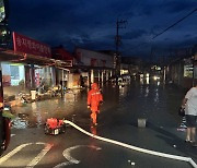 하루 벼락만 4500번… 전남서 기록적 낙뢰에 화학업체 정전