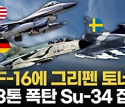 [영상] 우크라, F-16에 '스웨덴 그리펜·독일 토네이도'로 제공권 장악하나