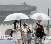 비 내리는 서울 광화문