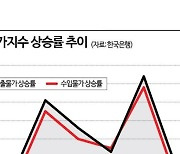 환율 상승에…수입물가 한 달 만에 다시 오름세