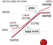 외국인 건보, 작년 7400억 흑자… 무임승차 많은 중국만 적자