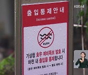 남해 80.5㎜ 극한 호우…부산 도로 통제