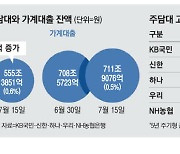 "막차 타자" 주담대 보름새 3.2조 껑충