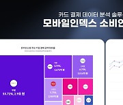 "경쟁사는 카드 얼마 썼나?" 분석한다…'소비 인덱스' 출시