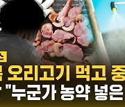 [자막뉴스] 초복 오리고기 먹고 중태…경찰 "누군가 농약 넣은 듯"