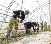 익산시, 수해 긴급 복구 군 장병 인력 2000여 명 투입