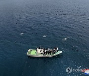 김정은,신포시 바닷가양식사업소 부지 시찰