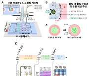 KAIST, 36개 암 모델 칩으로 항암제 효능 동시 평가