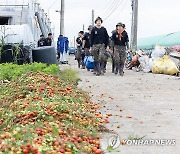 수해 복구 돕는 군 장병들