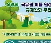 '규제완화' 담은 산림분야 3개 법 시행령 개정…24일부터 시행