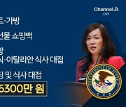 [아는기자]한국계 北전문가 수미 테리는 ‘간첩’인가?