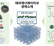 가톨릭대, 골육종 치료와 뼈 재생 촉진 동시에 잡는다