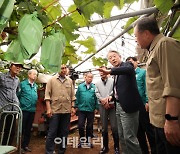 [포토] 피해 농가 방문한 강호동 농협회장