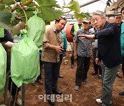 [포토] 강호동 농협회장, 포도농가 피해 점검