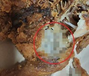 '구더기 통닭' 검사 결과 나왔다…"확률 높지만 물증 없어"