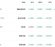 금리인하 가능성 100%+ETF 거래, 비트코인 6.6만달러 돌파(상보)