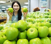 아오리 대체할 ‘썸머킹’ 사과값 당분간 안정세