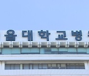 서울대병원, 전공의에 '2월 효력' 사직합의서 발송