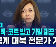 [AI D리포트] 미, CIA 출신 북 전문가 한국계 수미 테리 '한국 정부 대리 혐의' 기소