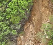 경주 토함산 일대 3곳에 산사태보다 위험한 '땅밀림' 현상 발생