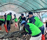 한국농수산식품유통공사, 집중호우 피해 농가 일손 돕기 '구슬땀'