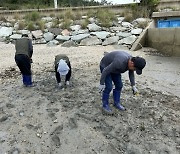 신안군, ‘맹그로브 시험 재배’ 시작