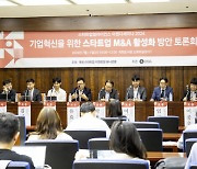 "M&A 활성화하려면 CVC 세액 공제 늘려야"