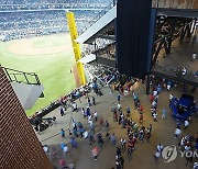 All-Star Game Baseball