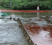 물에 잠긴 홍제천 산책로