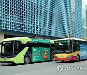 VIETNAM TRANSPORT BUS