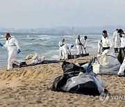 SPAIN ENVIRONMENT SPILL