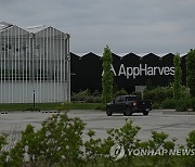 Climate Greenhouses Heat Workers